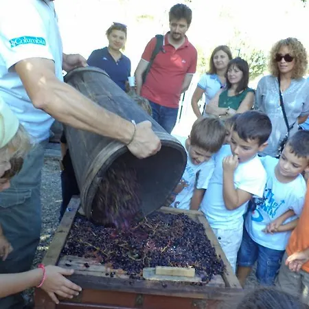 Farm stay Fattoria Di Castiglionchio Rosano (Florence)