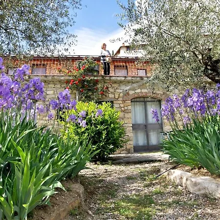 Vakantieboerderij Fattoria Di Castiglionchio